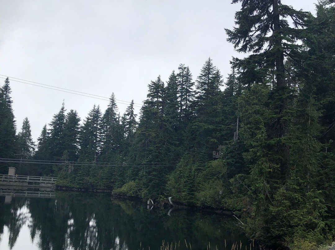 Grouse Mountain Ziplines-北温哥华必去景点