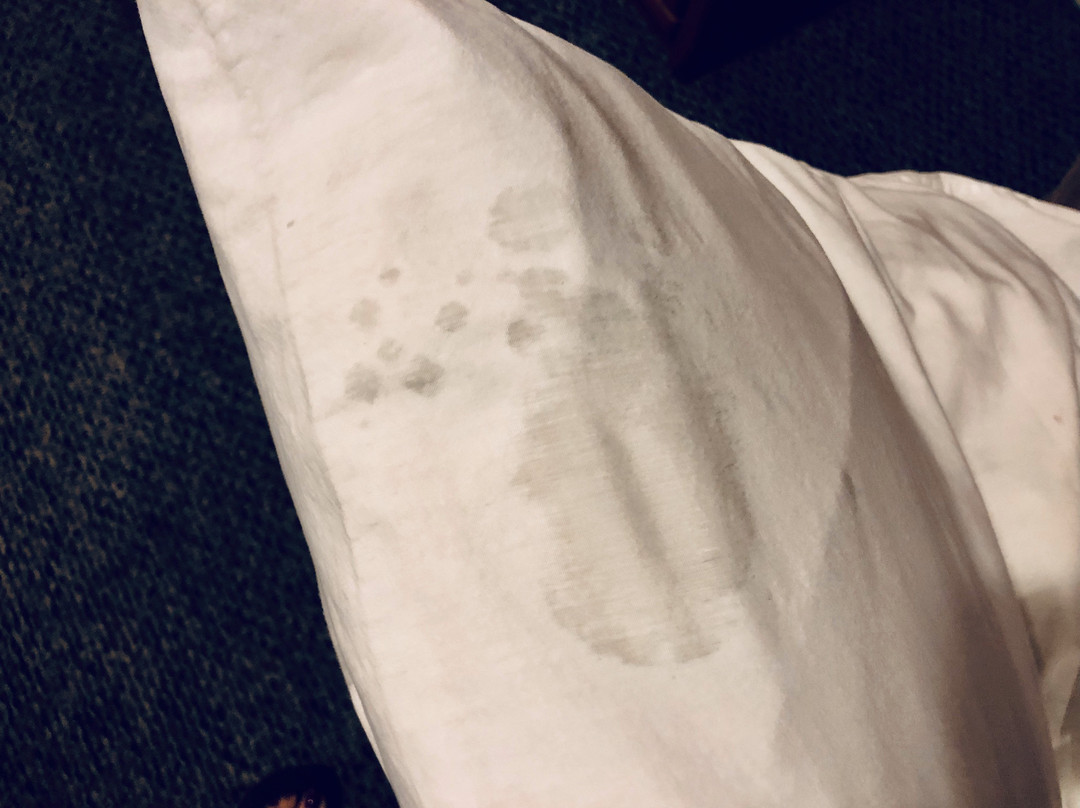 Sunflower Motel主图