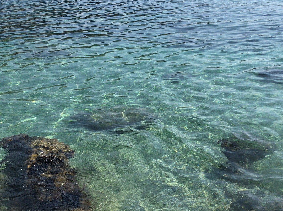 Hidayet Bay Beach景点图片