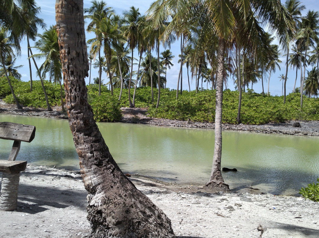 Equa Reef Maldives主图