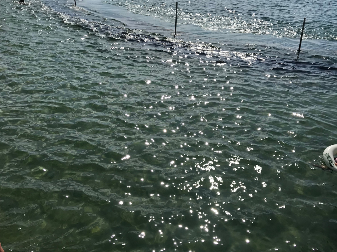 Praia da Poca景点图片