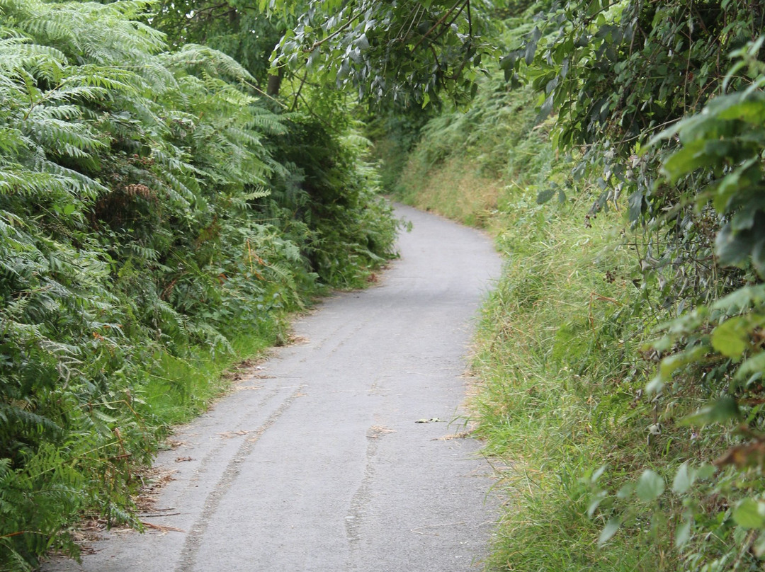 Bray Head Cliff Walk-布瑞必去景点