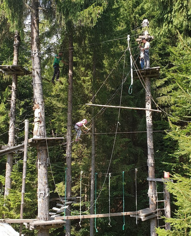 Tree Adventure Park Fundatica景点图片