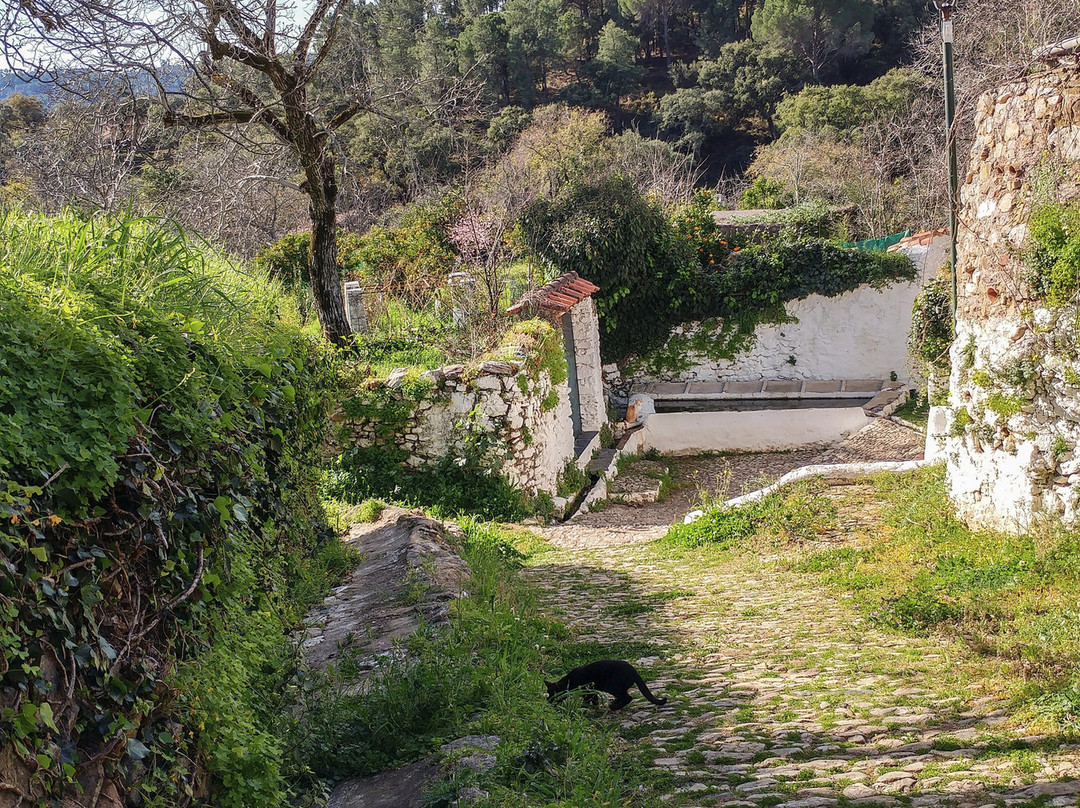 Fuente Vieja景点图片