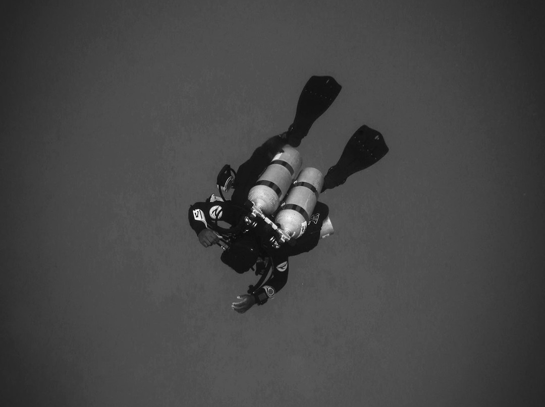 Tec Diving in Mauritius景点图片