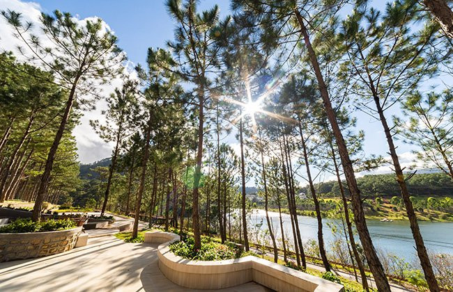 Cereja Hotel & Resort Da Lat主图