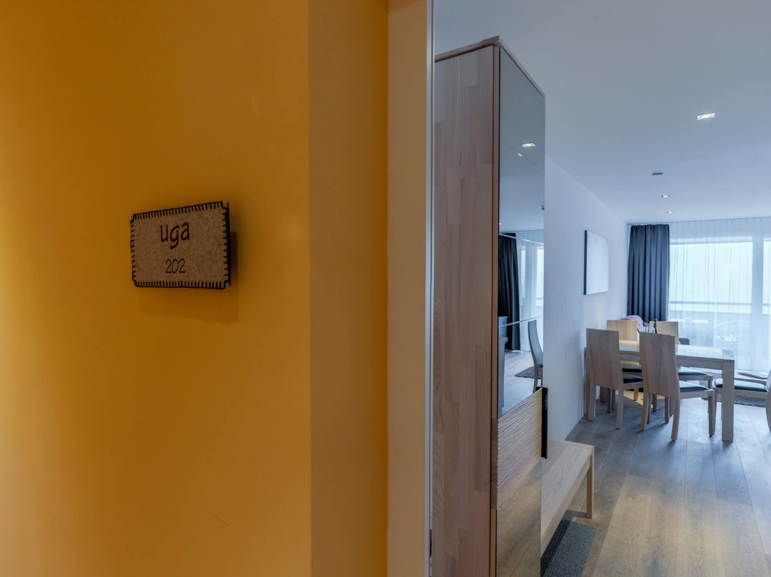 Alpinresort Damuls主图