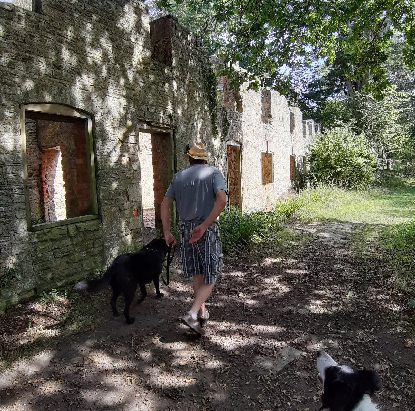 Tyneham Village and Flower's Barrow Walk景点图片