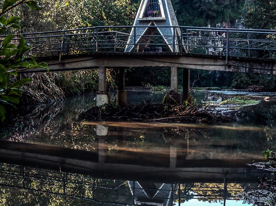 Cachoeira da Linha Feijo-南卡希亚斯必去景点