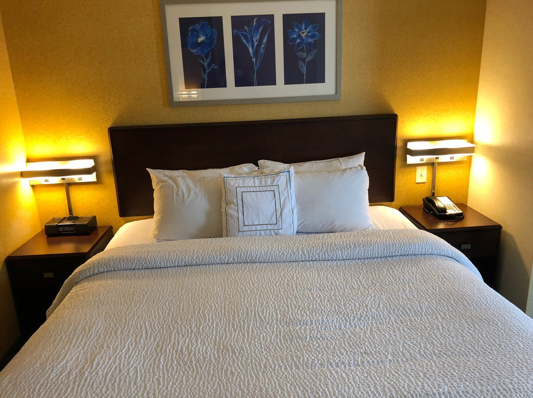 SpringHill Suites by Marriott Pittsburgh Mills主图