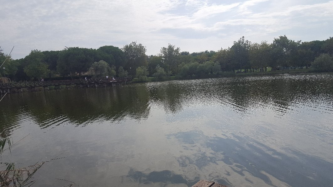 Parco del Gelso景点图片