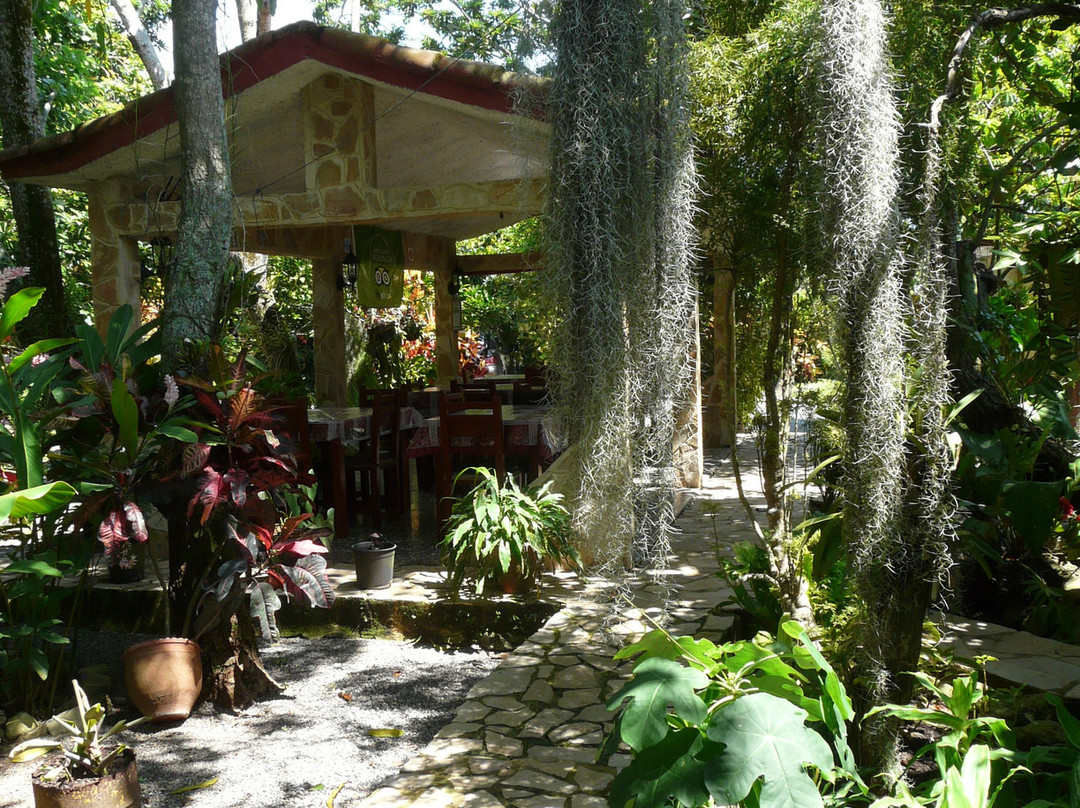 Casa Los Sauces Jorge y Ana Lidia主图