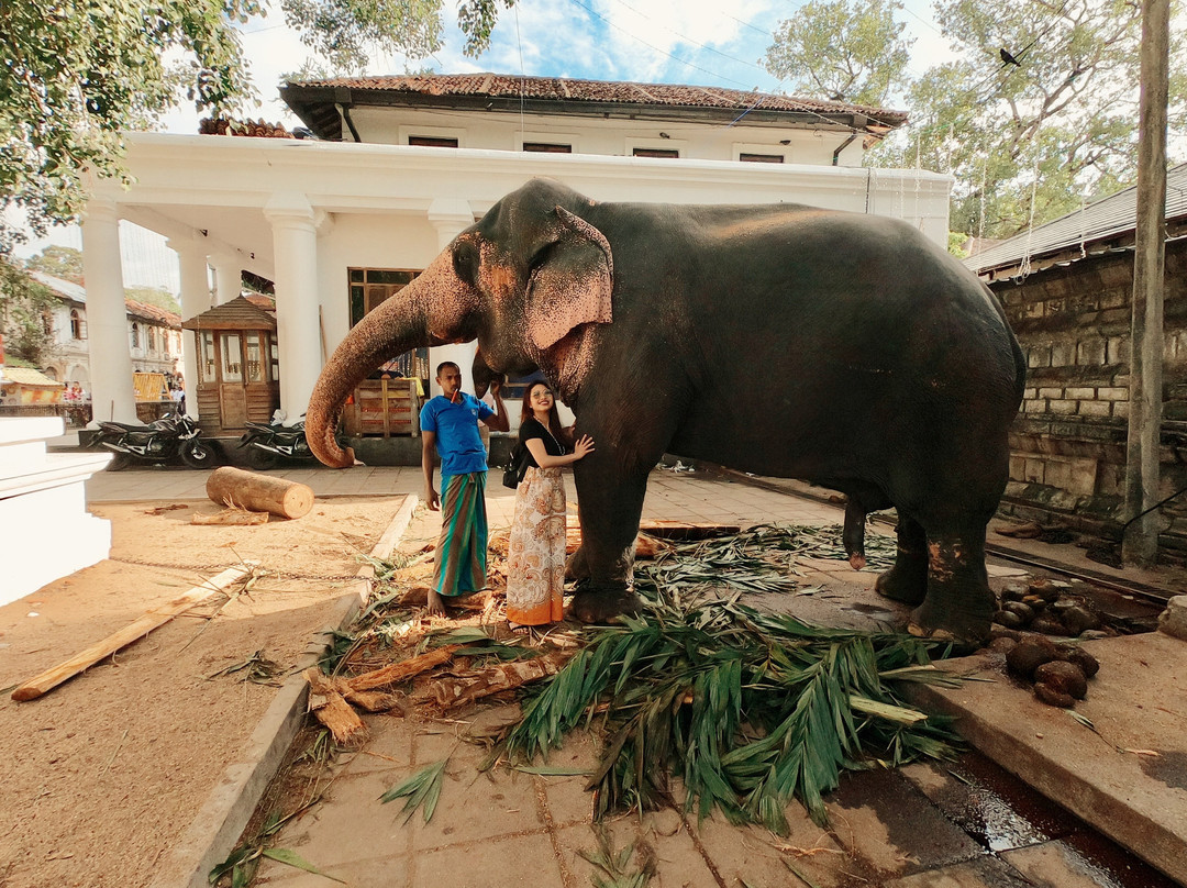 Natures Tours Sri Lanka景点图片