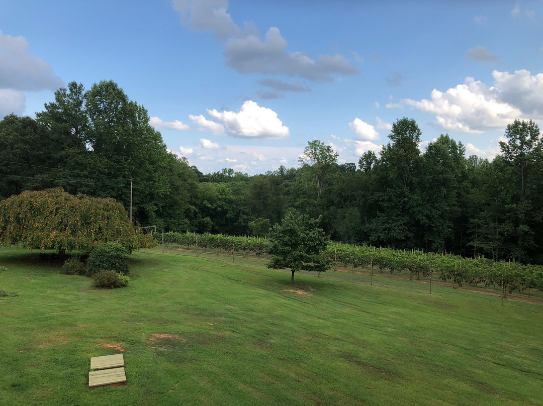 Arcady Vineyard Bed & Breakfast主图