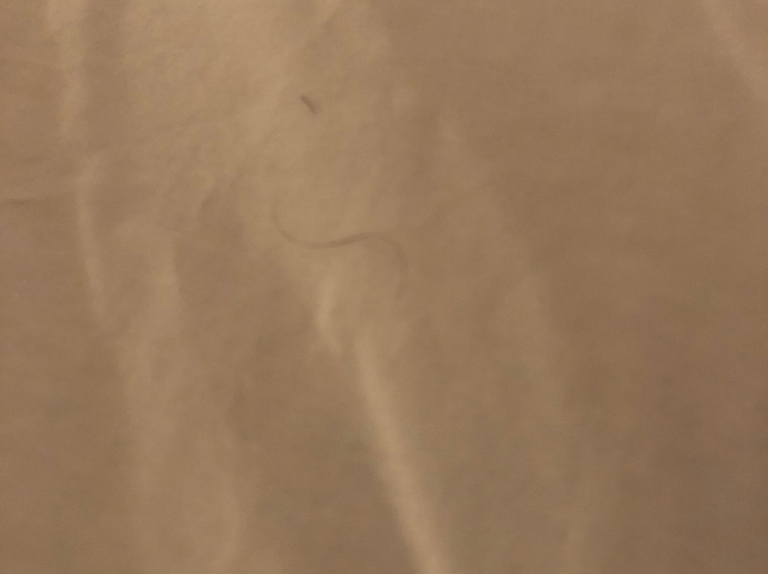 Fairfield by Marriott Inn & Suites Ottawa Starved Rock Area主图