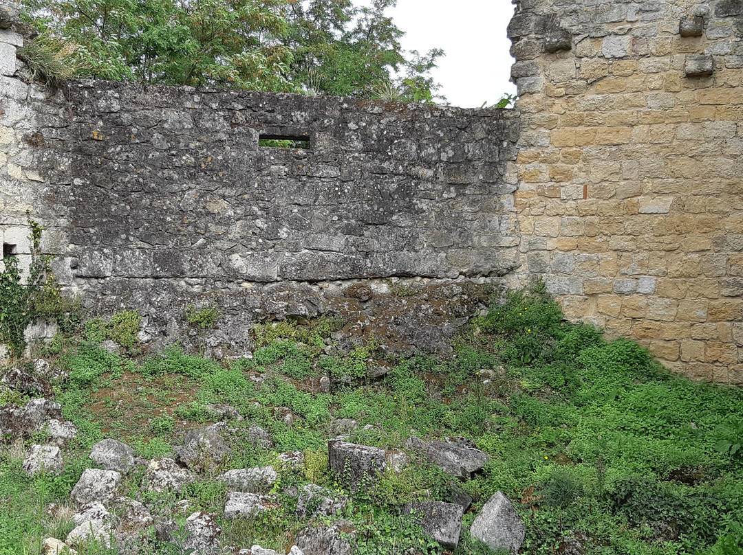 Chateau de Rauzan景点图片