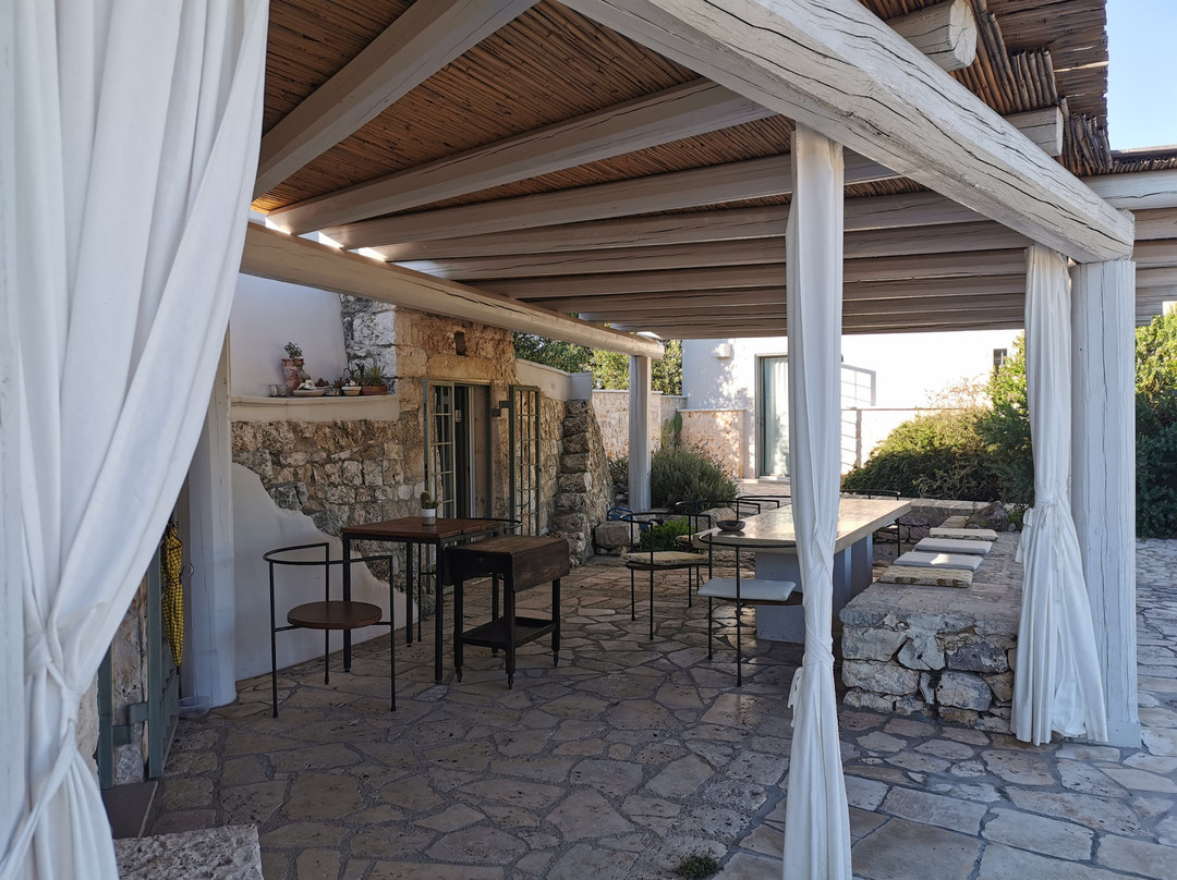 Regina di Ulivi主图