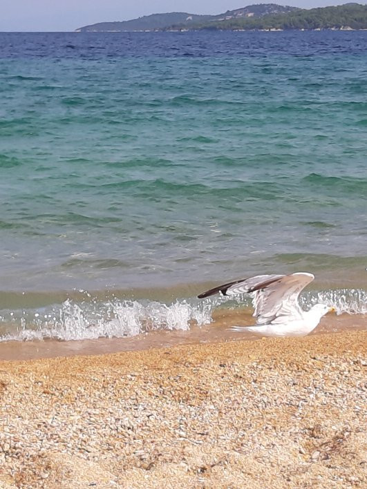 Comitsa Beach景点图片
