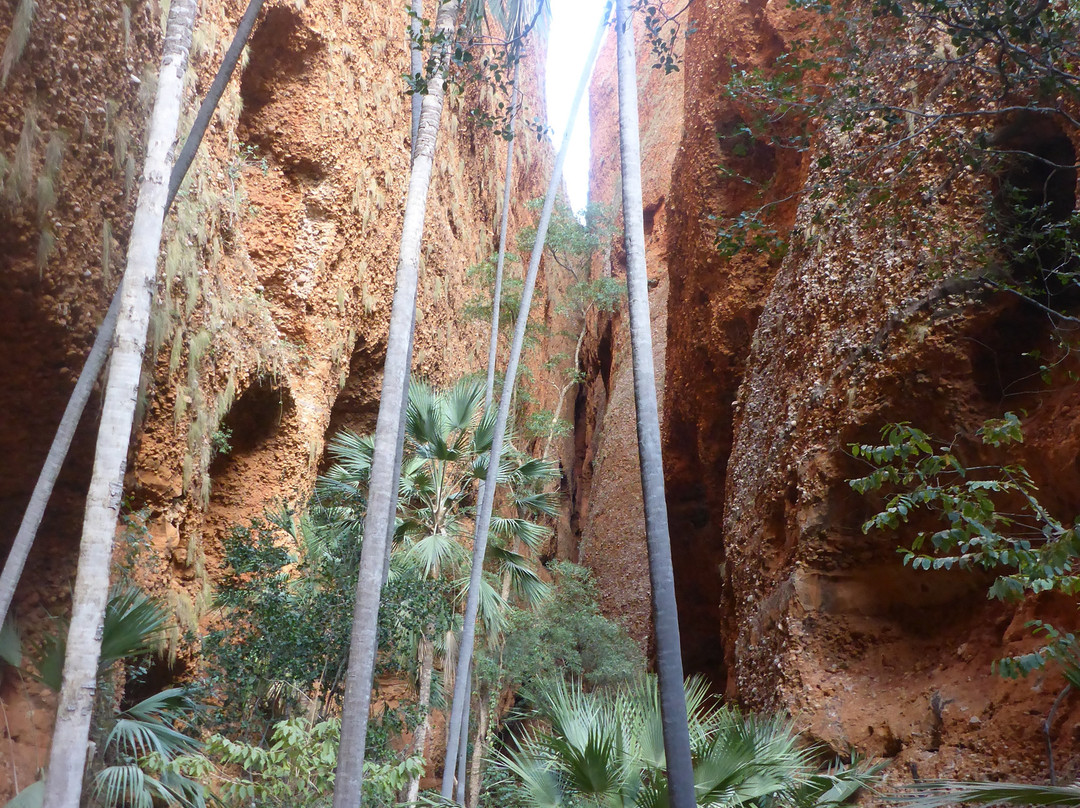 Echidna Chasm景点图片