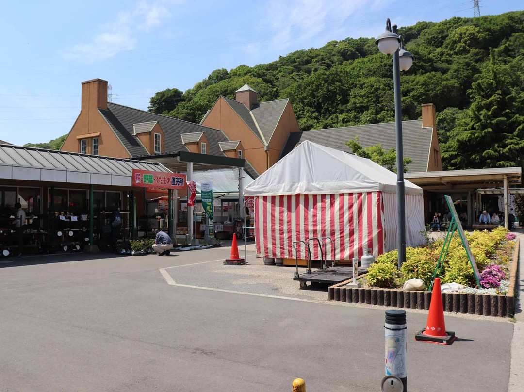 Miyama Park Roadside Station景点图片