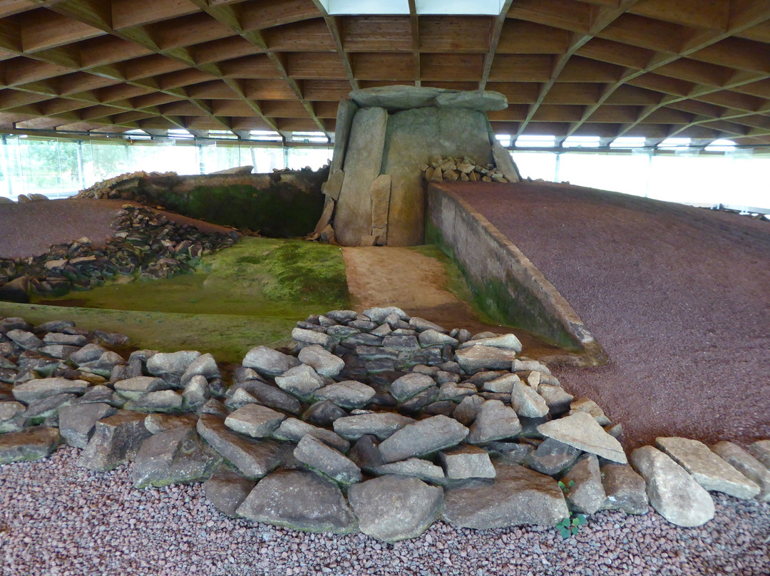 Dolmen de Dombate景点图片