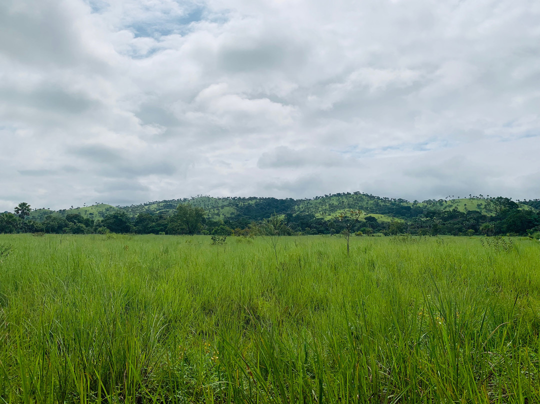 Abokouamekro Game Reserve-亚穆苏克罗必去景点