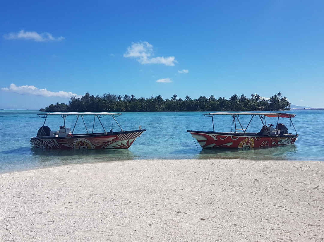 ARE TOURS RAIATEA-塔哈岛必去景点