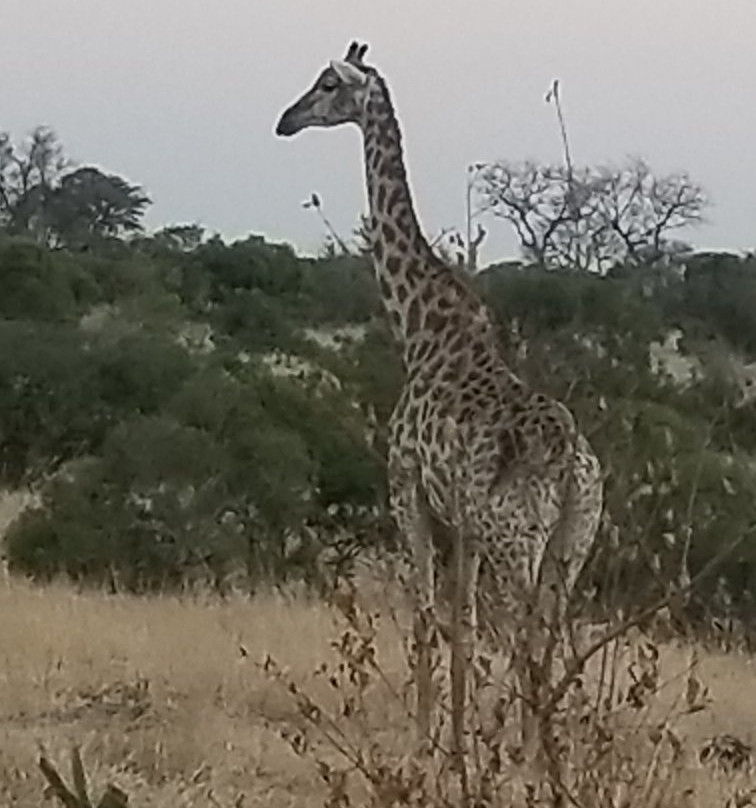 Wild Journeys-尼斯普鲁特必去景点