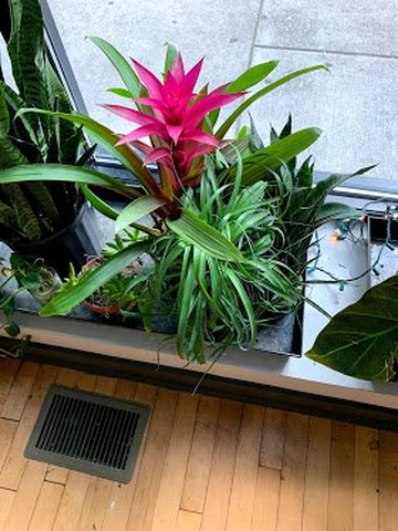 Richmond Arts District-里士满必去景点