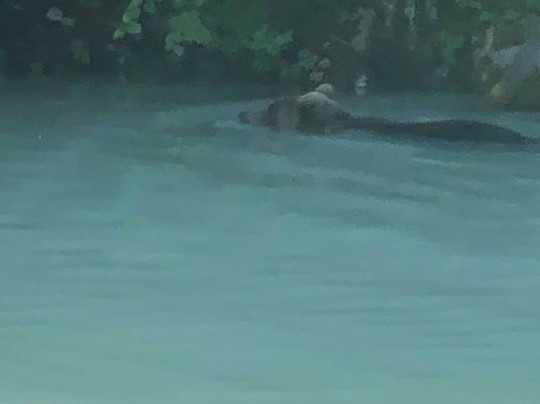 Ursus Alaska-索尔多特纳必去景点