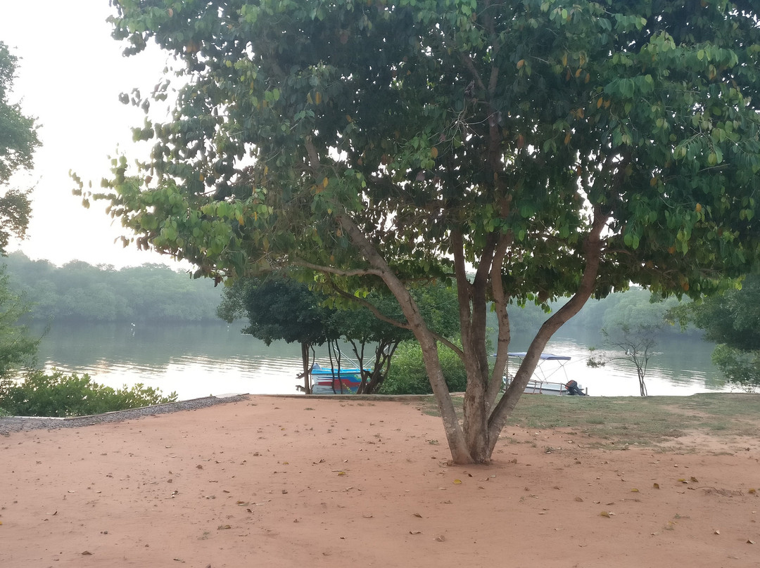 Wilpattu Nature Resort主图