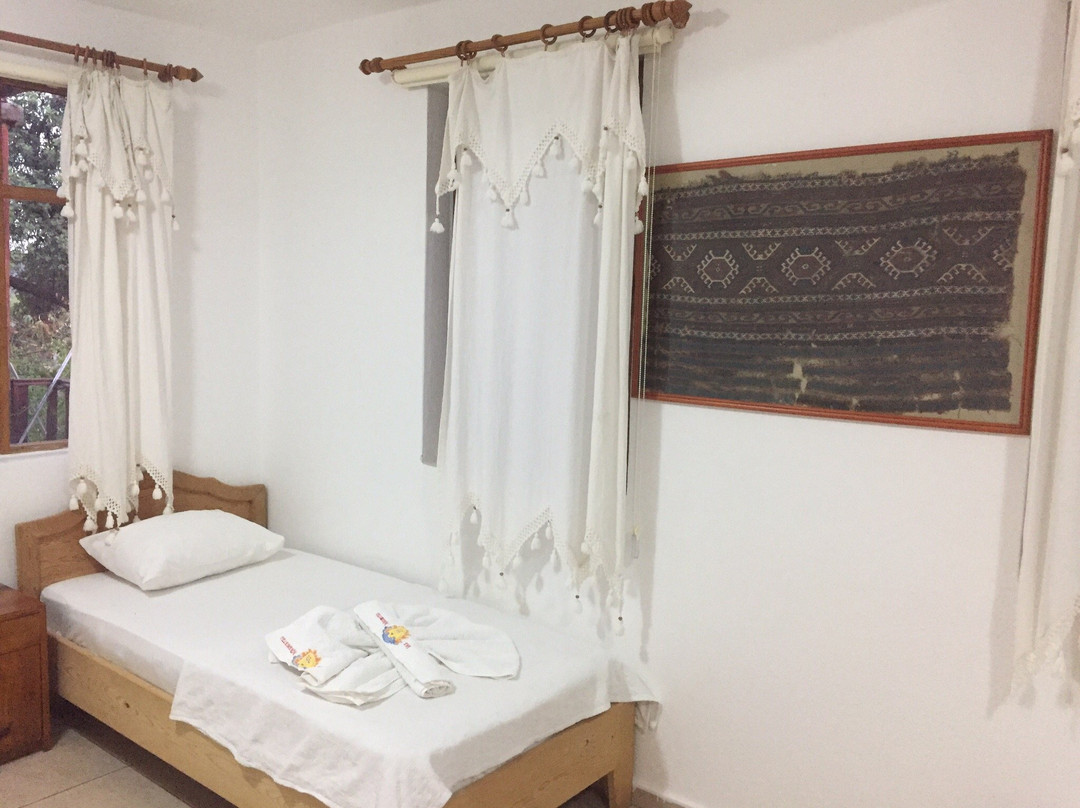 Telemen'in Evi Pansiyon主图