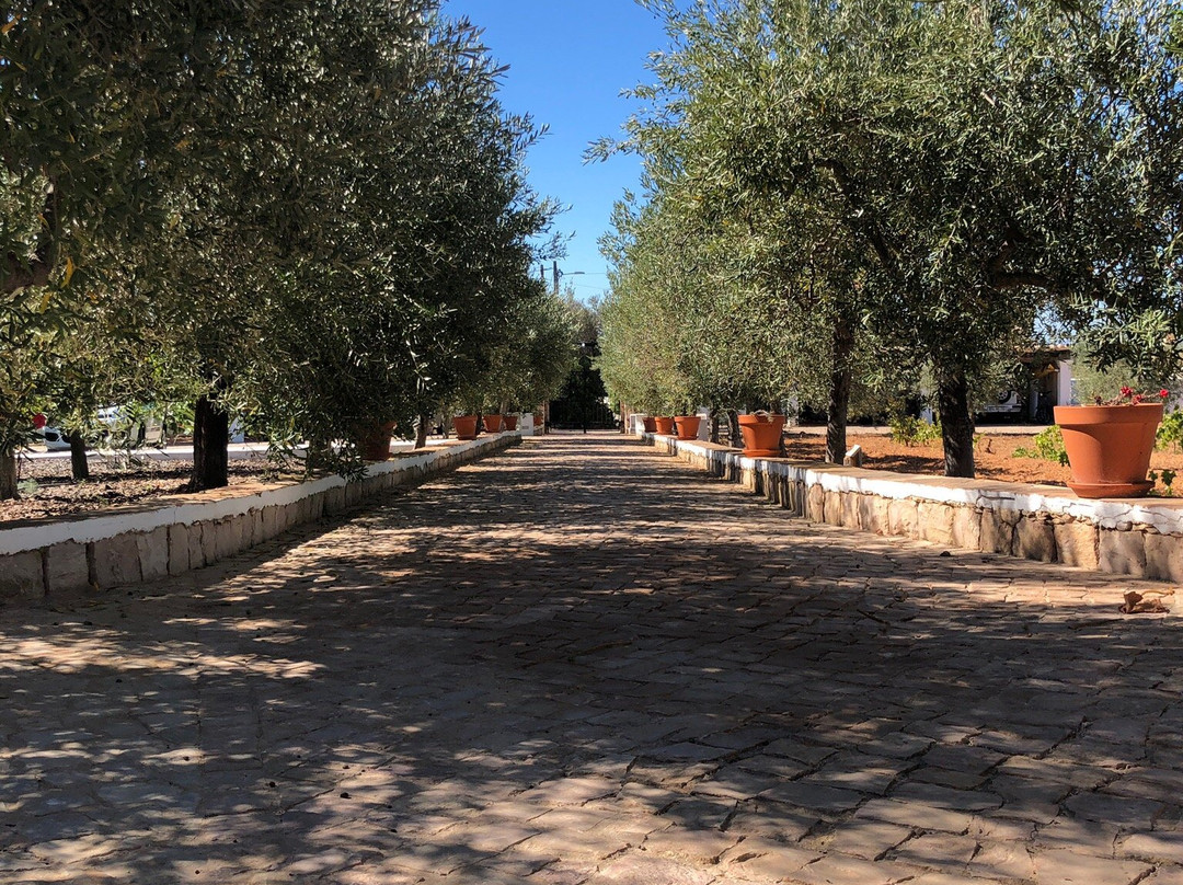 Monte das Cortelhas主图