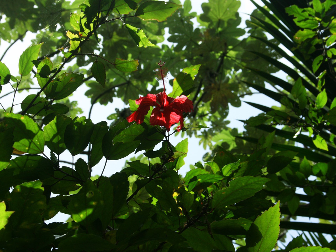 Sunset Tours Puerto Rico-圣胡安必去景点