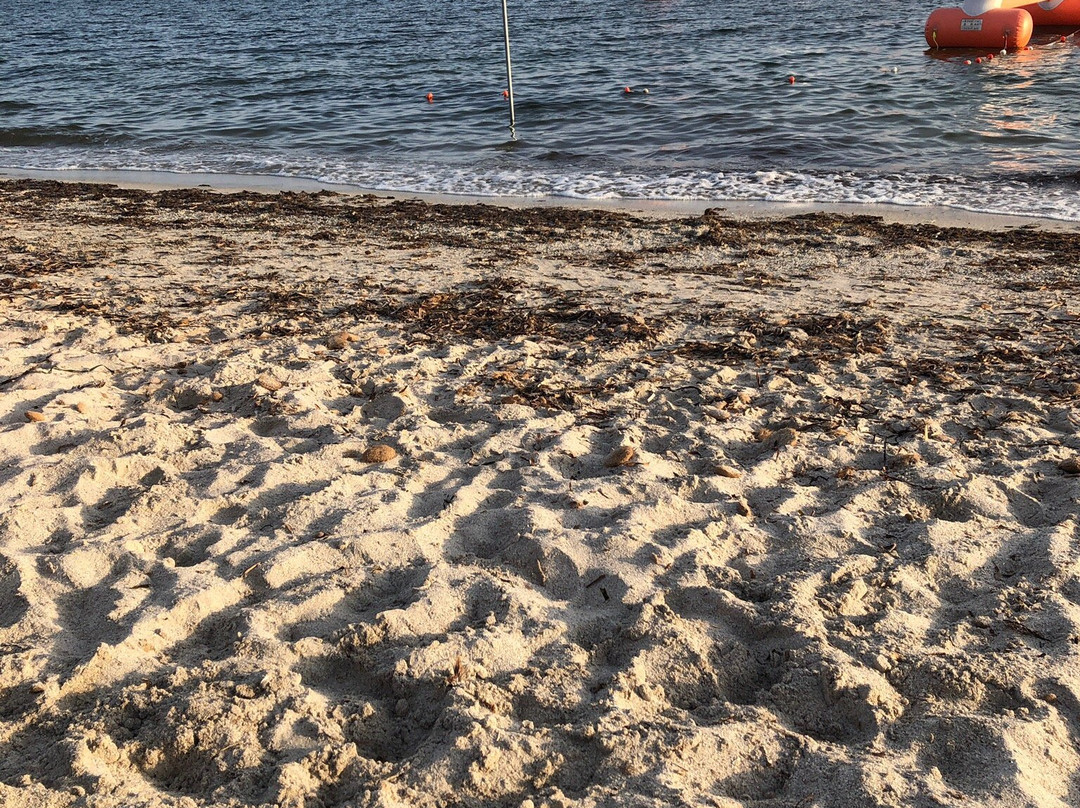 Splash Aquapark-阿尔盖罗必去景点