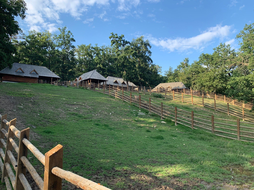Sibiu Zoological Garden景点图片