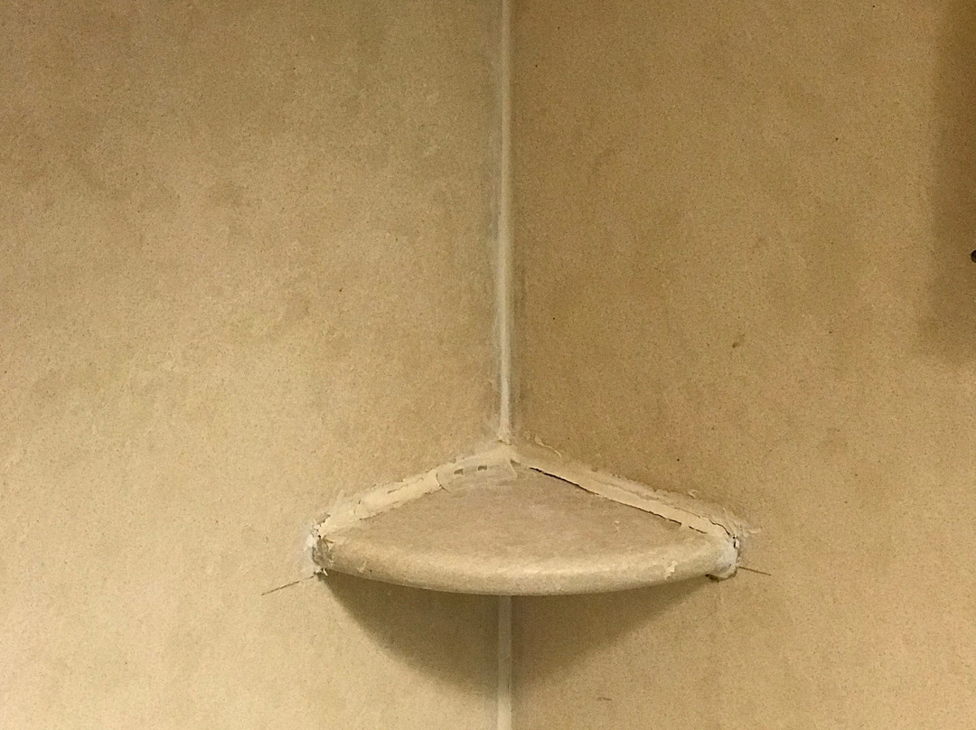 Staybridge Suites Tampa East - Brandon by IHG主图