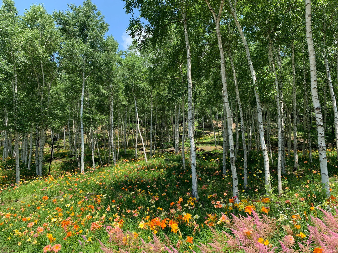Fujimi Kogen Rresort Hananosato-富士见町必去景点