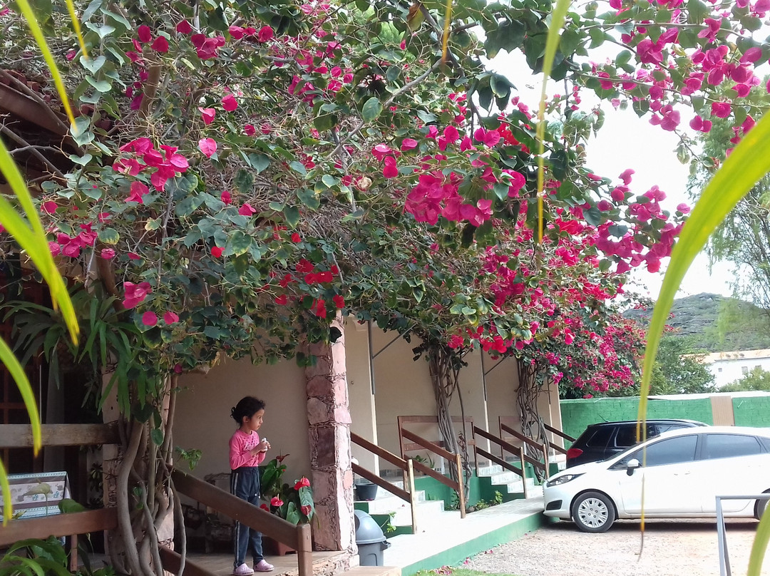 Pousada Primavera主图