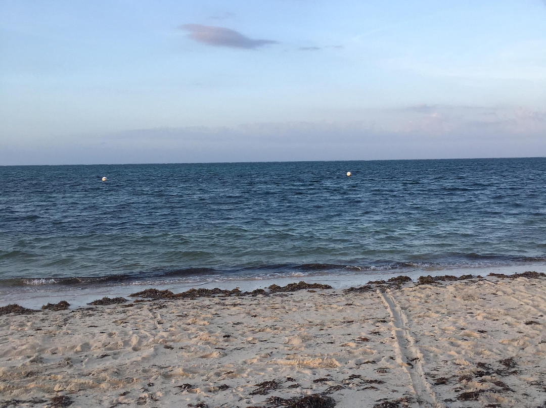 Club Amigo Caracol主图