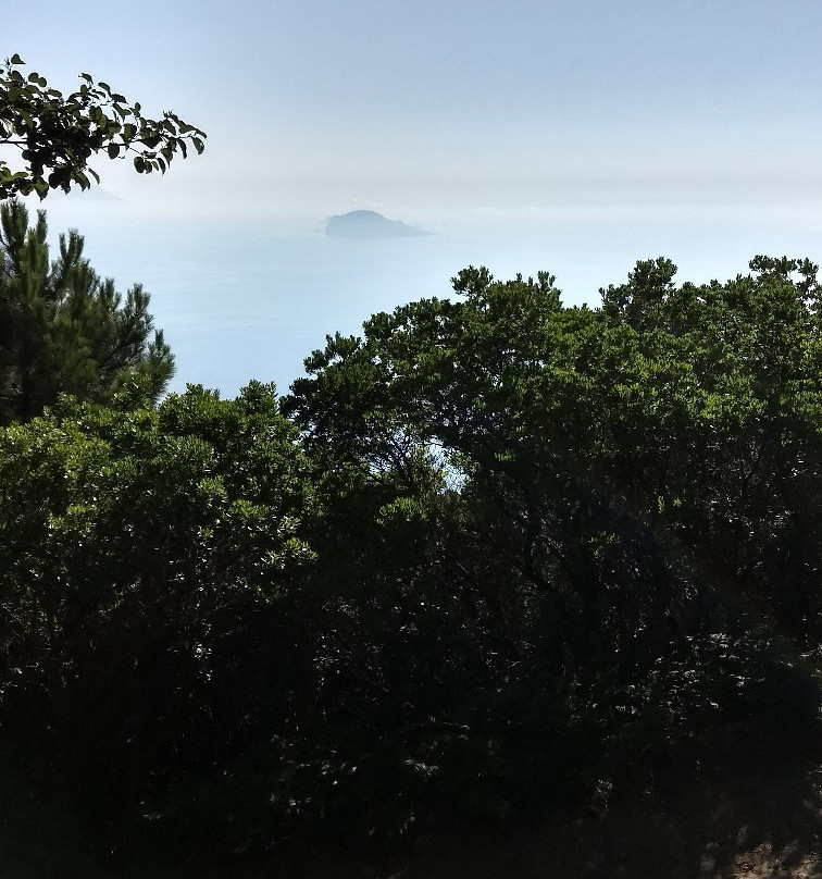 Monte Fossa delle Felci景点图片