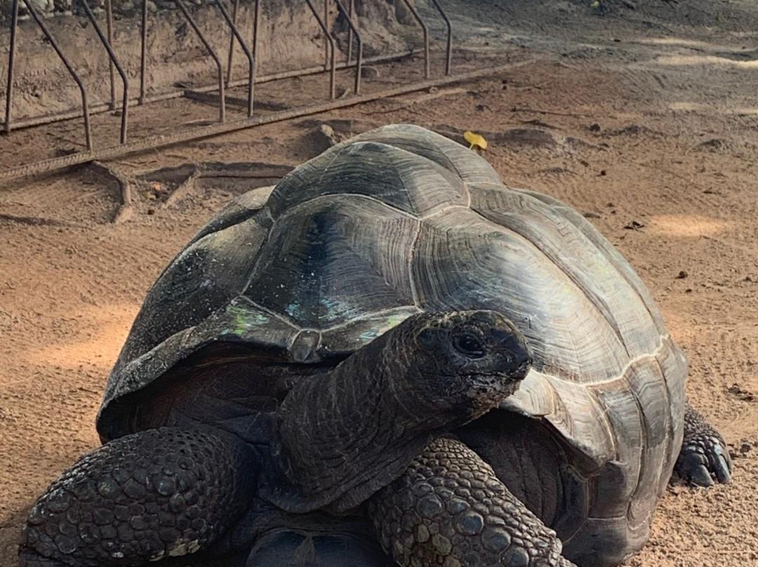 Belle des IIes Hotel主图