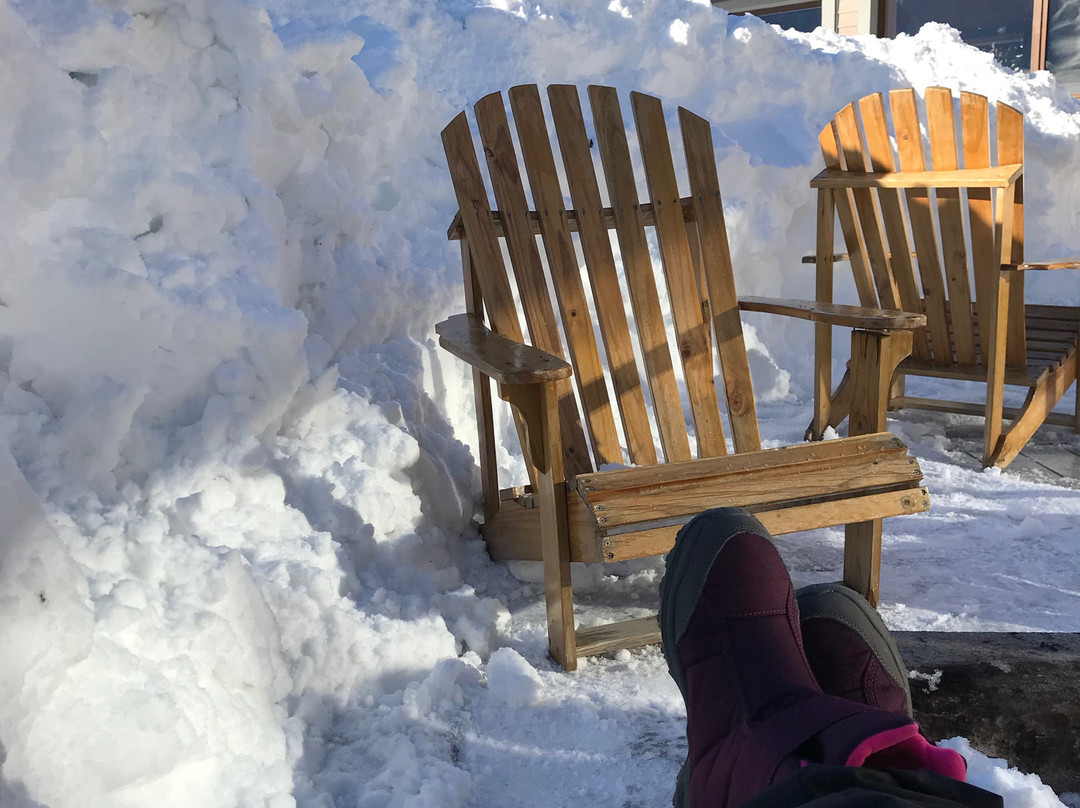 Corralco Resort de Montana主图