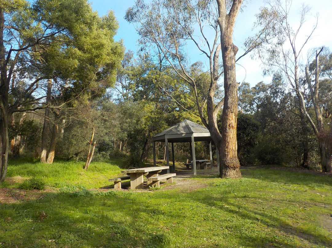 Ringwood Lake景点图片