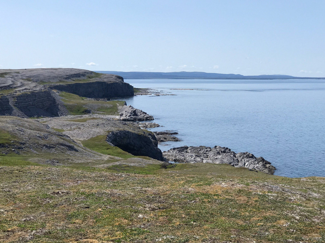 Burnt Cape Ecological Reserve景点图片