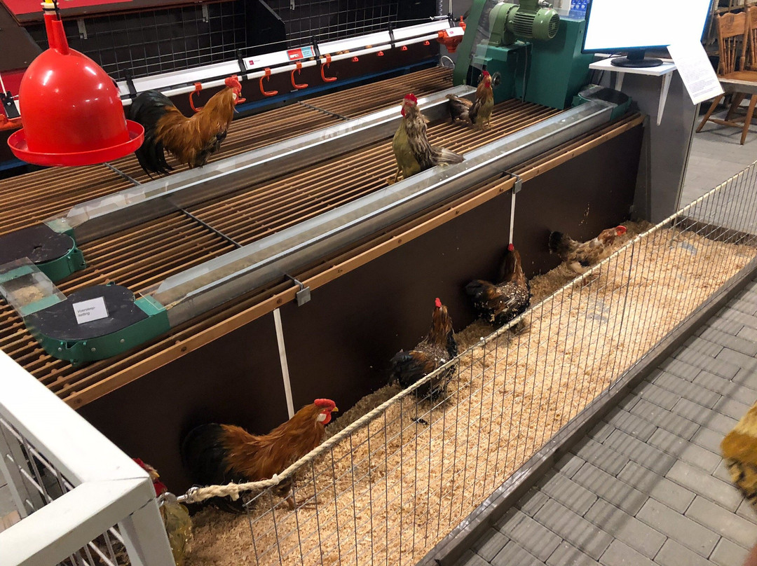 Dutch Poultry Museum景点图片