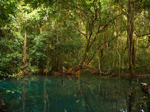 Herb Walk Laos-琅勃拉邦必去景点