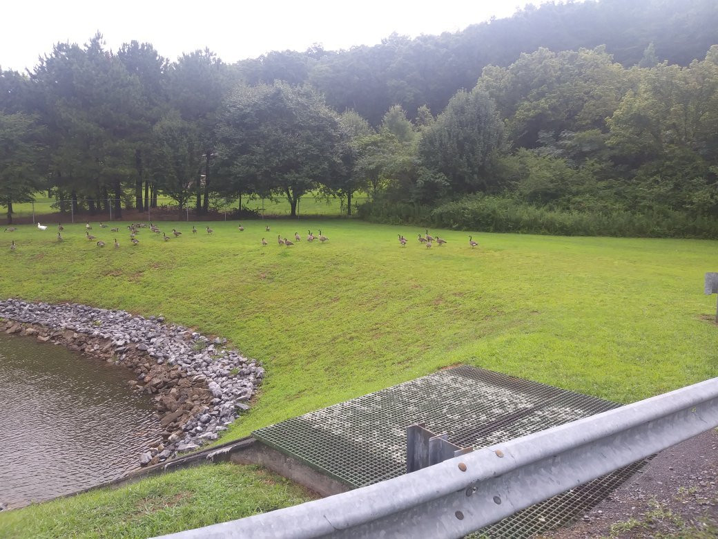 Haig Mill Lake Park-多尔顿必去景点