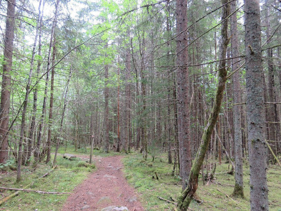 Garphyttans Nationalpark-厄勒布鲁必去景点