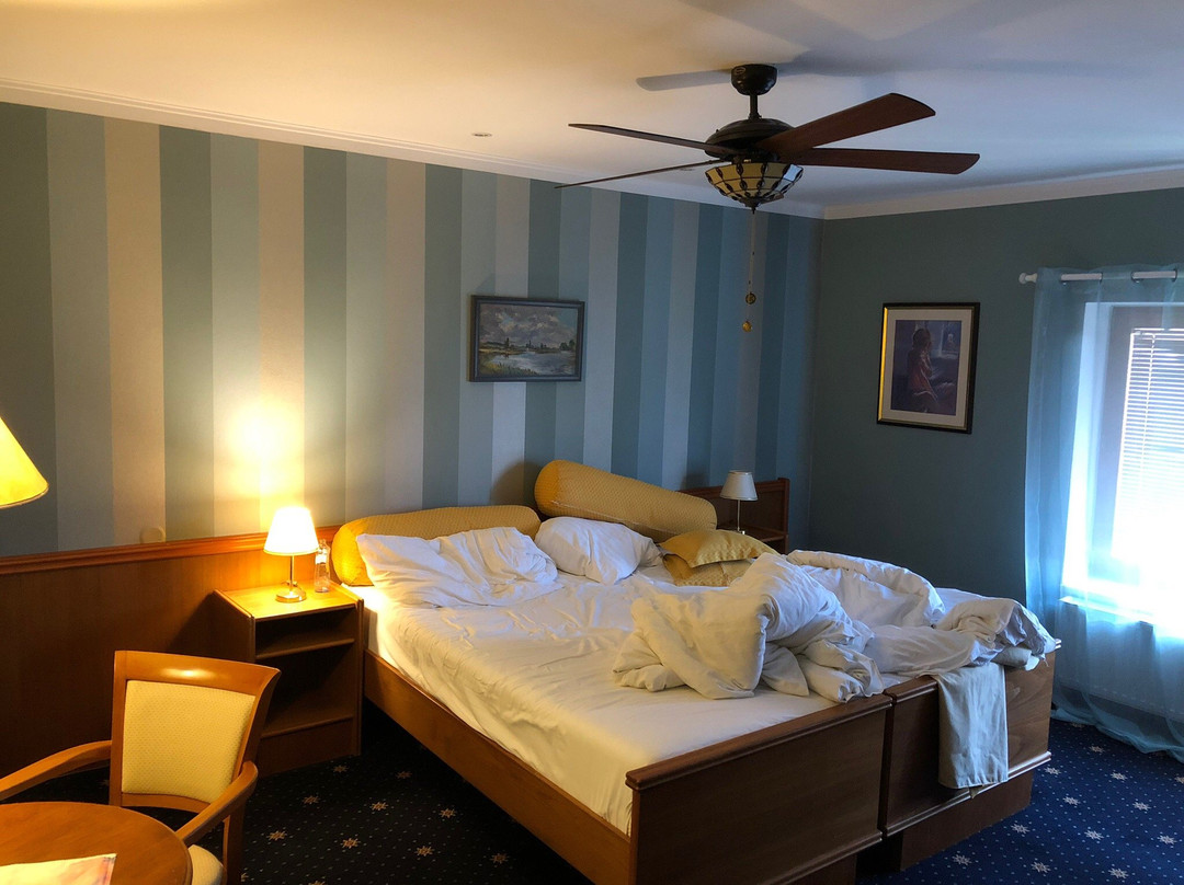 Hotel Villa Conti主图